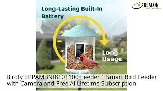 Birdfy EPPAMBNI8101100 Feeder 1 Smart Bird Feeder with Camera and Free AI Lifetime Subscription