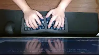 Sound Test Louise /w Cherry mx clear (broken-in by machine, Forged CF plate)