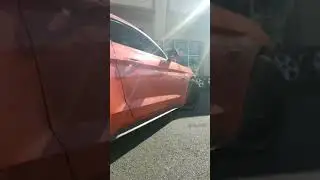 Ford Mustang in New Jersey