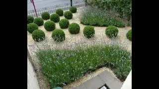 Belles id&eacute;es de design de jardin contemporain