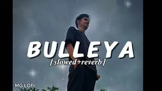Bulleya (Slowed + Reverb) | Papon | Sultan | MG Lofi