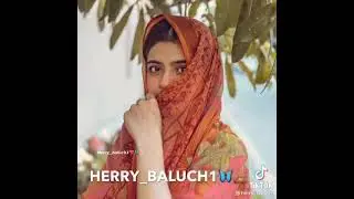 Balochi New WhatsApp status Shahjan and Muslim hummail#balochisongs @Sammol Baloch