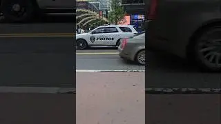 Amtrak Police K9 Passing By On West 34th Street In Midtown, Manhattan, New York City