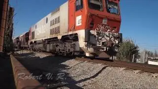 Frenada del potasser