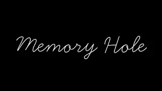 Memory Hole: On the Nature of Memory