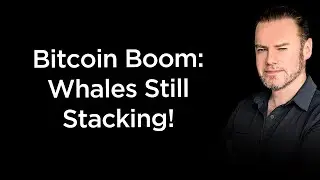 Bitcoin Wealth Pyramid Update: Who's Leading the Race?