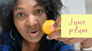 June plum/Golden Apple/Amberella/Pommecythere- How does it taste? strange seed PLUS growing tips