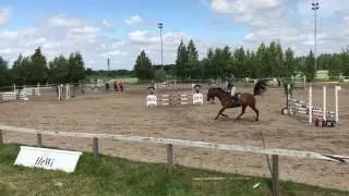 Este-Jussit 100 cm