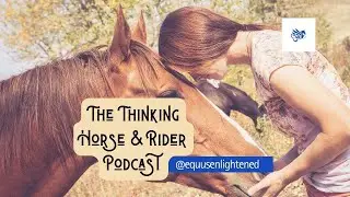 Teach Your Horse to Follow Your Intent &mdash; Not the Lead Rope | Simple Pre-Cue Experiment
