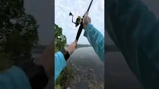 How to catch bass on a plastic worm.