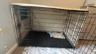 Amazon Basics Durable, Foldable Metal Wire Dog Crate, 2 Pros & 2 Cons, Dog Crate Cover