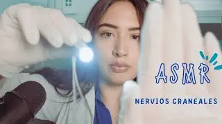 ASMR / Nervios craneales