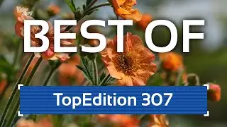 Sommer Best of 2022 Teil 2 | TE 307