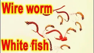 Tying the wireworms for whitefish ice fishing