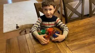 Hexbug Ultimate Insect Bundle Review