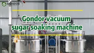 🍓 Advanced Vacuum Sugar Impregnation Machine | Sweetness Perfected 💎#vacuummachine #sugarinfusion
