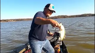 THIS SOFT BAIT HAMMERED THE BASS ON GIBSON COUNTY LAKE