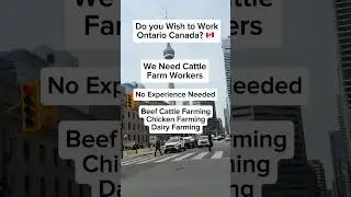 🇨🇦 Apply for LMIA-Approved Jobs from BC Employers | canadacareersite.com