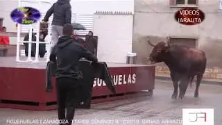 FIGUERUELAS  (ZARAGOZA)  TARDE VACAS EN LA CALLE  (DOMINGO 8 DICIEMBRE 2019)  ARRIAZU