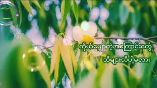 နွေဦးကံ့ကော် - ထူးအိမ်သင် (Lyrics Video)