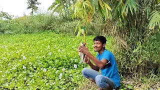 Amazing Village Crazy Boy Catching Hook Fish in River New Video 2024