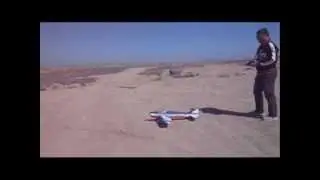 Fantacia Mini  F3A.wmv