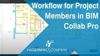 BIM Collaboration Pro: Overview Workflow for Project Members