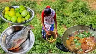 TOMATO FISH CURRY with POTATO || cooking and eating by santali tribe old couple #fishcurry