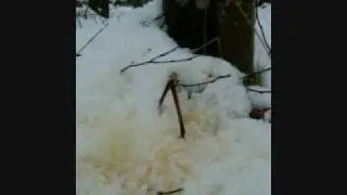 Hork&yacute;že Sl&iacute;že Žlt&yacute; sneh