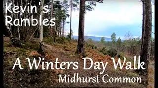 A Winters day Walk #midhurst #midhurstcommon #walking #wintersday