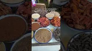 LARGEST Spice market in India! Khari Baoli in Old Delhi
