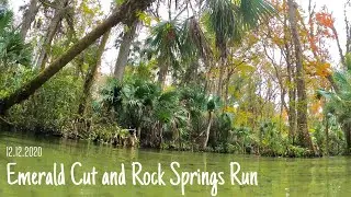 Emerald Cut and Rock Springs Run, Apopka Florida
