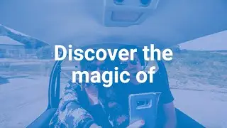 Discover Wingly 🛩