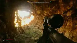 Stalker 2 Как правильно одевать Артефакты Схрон проводника