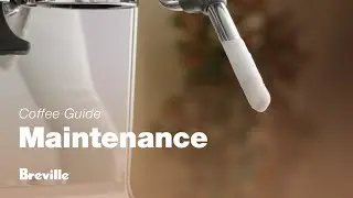 The Barista Touch&trade; | How to clean and unblock your steam wand: our 6-step guide | Breville NZ