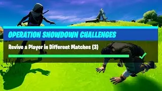 Revive a Player in Different Matches (3) - Fortnite Operation Snowdown Challenges