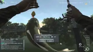 fishing planet как ловить сома