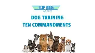 Naples Top Dogs Ten Commandments