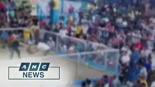 PH gaming regulator supports having separate regulatory body for online cockfighting | ANC