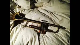 [FREE FOR PROFIT] - Melodic Trumpet Type Beat - 