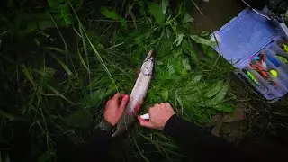 ИЮЛЬ/РЫБАЛКА
