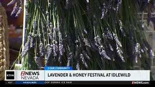 Sierra Nevada Lavender & Honey Festival blooms at Idlewild Park
