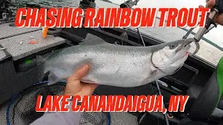 Lake Canandaigua NY Chasing Rainbow Trout