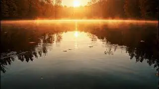 Tranquility in Autumn 🍁 Beautiful Piano Music for Relaxation and Mental Clarity