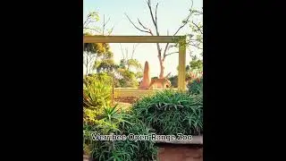 Things to do in Werribee South