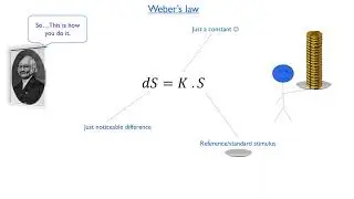 Psychology of Perception 01 - Weber's law & Just noticeable difference (JND)