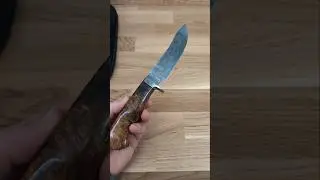 Damascus Swayback Hunter with Buckeye Burl (MS Test Knife) by Paul DiStefano, M.S.