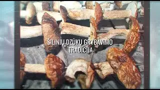 Šilinių dzūkų grybavimo tradicija