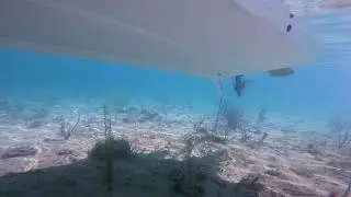 Elliot Key Billies Point Reefs