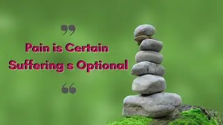 Best Inspirational Zen Quotes for Everyday Motivation (Buddha Quotes)
